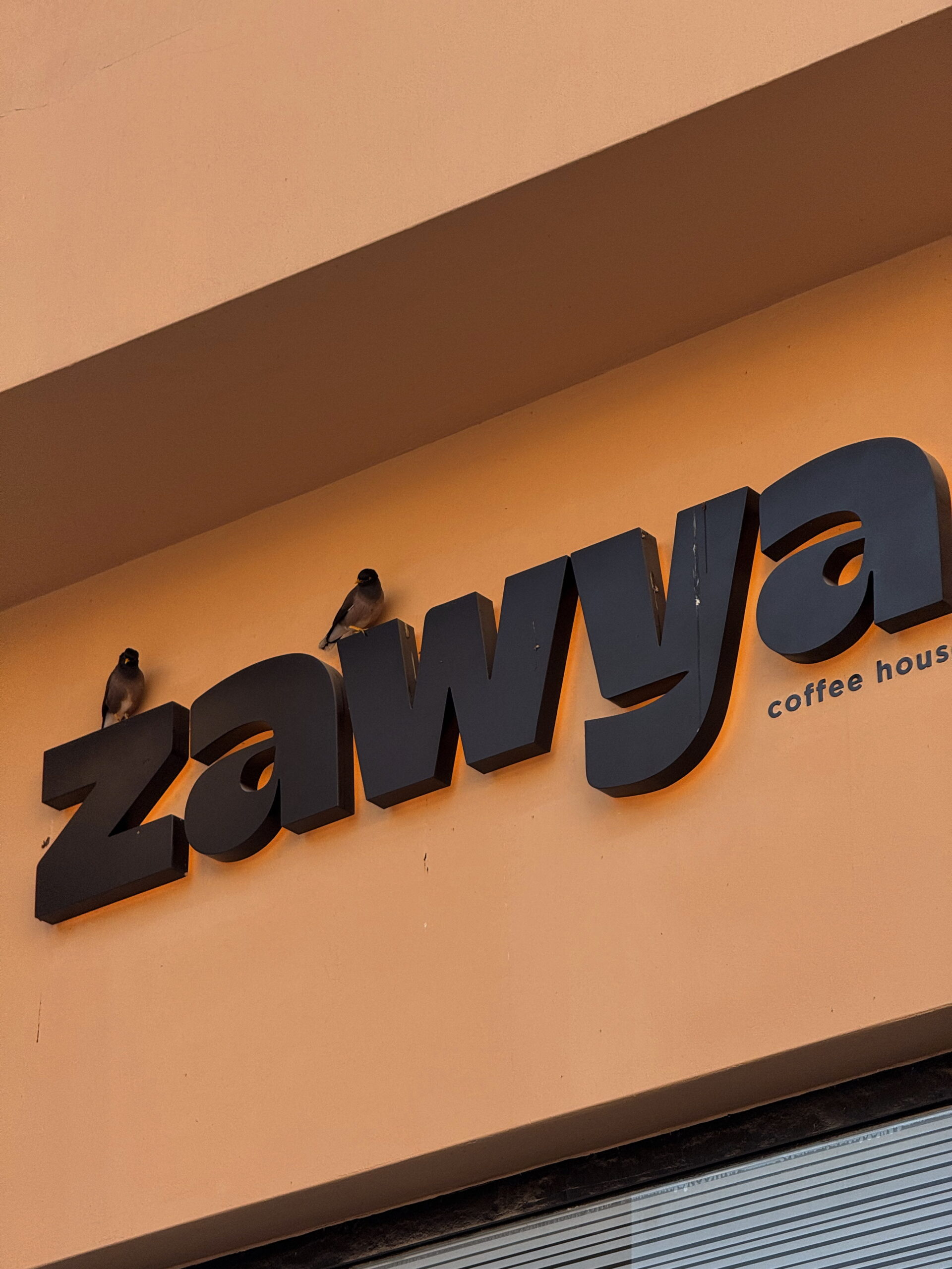 What-to-Visit-in-Doha